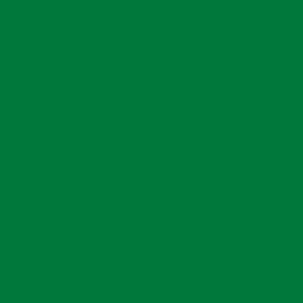 Nažehlovací fólie TURBO FLEX F750 GREEN / Zelená - 1