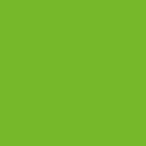 Nažehlovací fólie TURBO FLEX FF50 NEON GREEN / Neonová zelená - 1